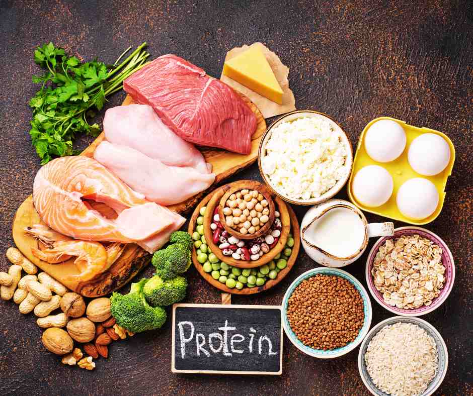 protein rich food